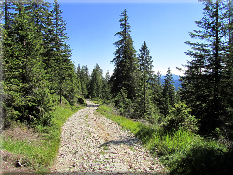 foto Dal Passo Vezzena al Pizzo di Levico